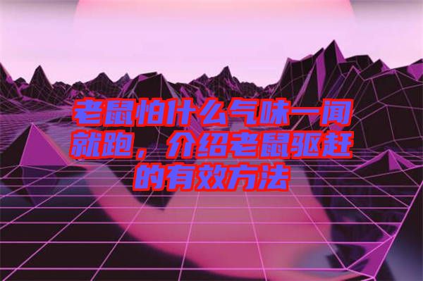老鼠怕什么氣味一聞就跑，介紹老鼠驅(qū)趕的有效方法
