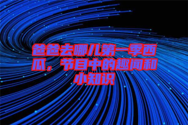 爸爸去哪兒第一季西瓜，節(jié)目中的趣聞和小知識(shí)