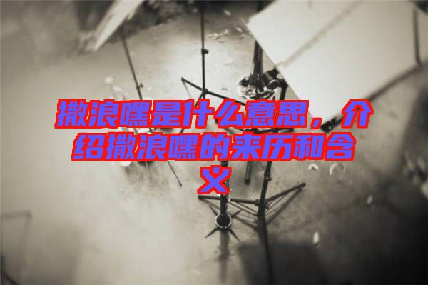撒浪嘿是什么意思，介紹撒浪嘿的來歷和含義