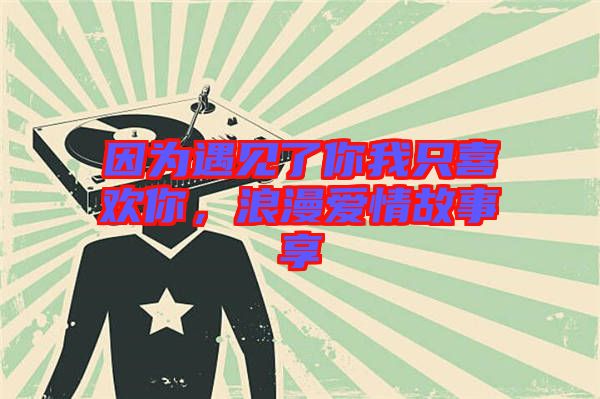 因?yàn)橛鲆?jiàn)了你我只喜歡你，浪漫愛(ài)情故事享