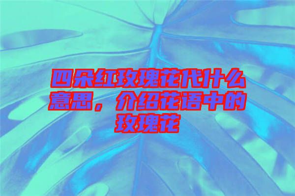 四朵紅玫瑰花代什么意思，介紹花語中的玫瑰花