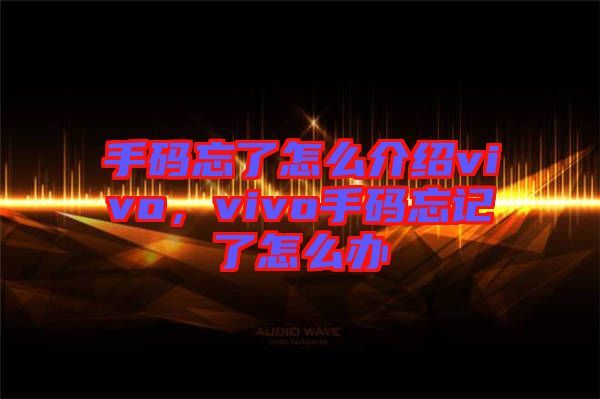 手碼忘了怎么介紹vivo，vivo手碼忘記了怎么辦