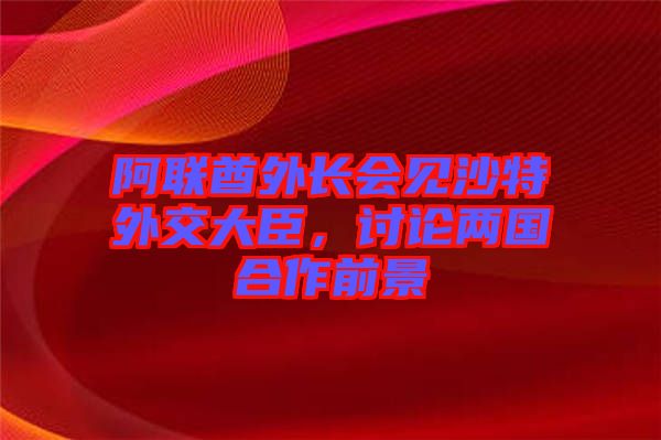 阿聯(lián)酋外長會見沙特外交大臣，討論兩國合作前景