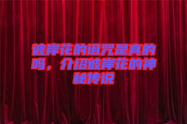 彼岸花的詛咒是真的嗎，介紹彼岸花的神秘傳說