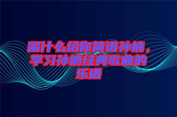 留什么給你簡(jiǎn)譜孫楠，學(xué)習(xí)孫楠經(jīng)典歌曲的樂譜
