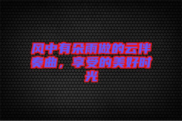 風(fēng)中有朵雨做的云伴奏曲，享受的美好時光