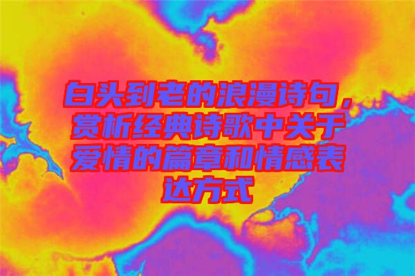 白頭到老的浪漫詩句，賞析經(jīng)典詩歌中關(guān)于愛情的篇章和情感表達(dá)方式