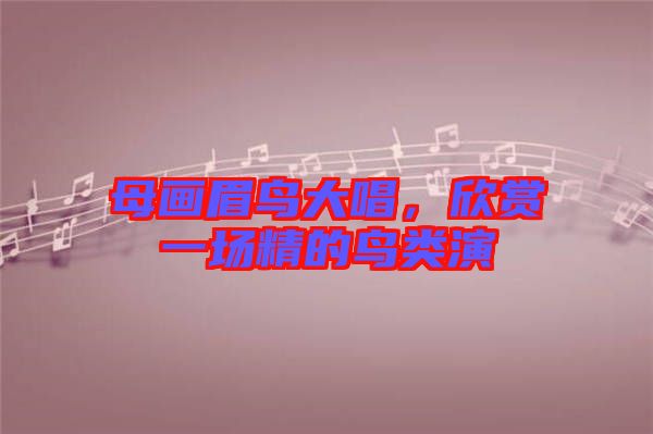 母畫眉鳥大唱，欣賞一場(chǎng)精的鳥類演