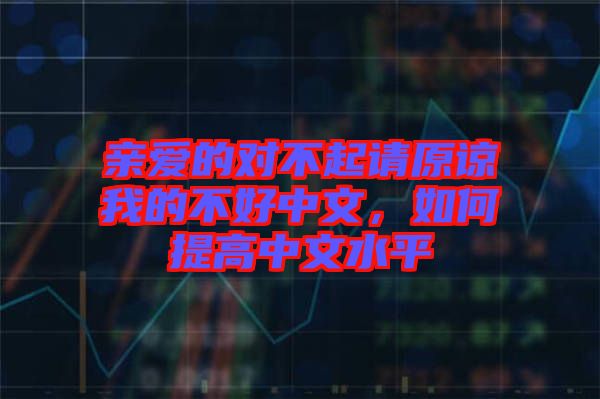 親愛(ài)的對(duì)不起請(qǐng)?jiān)徫业牟缓弥形?，如何提高中文水? width=