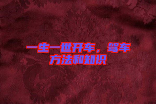 一生一世開車，駕車方法和知識