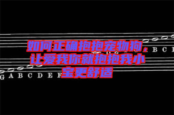 如何正確抱抱寵物狗，讓愛我你就抱抱我小寶更舒適