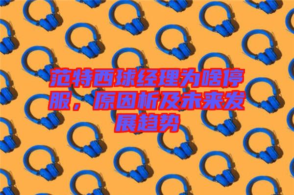 范特西球經(jīng)理為啥停服，原因析及未來發(fā)展趨勢