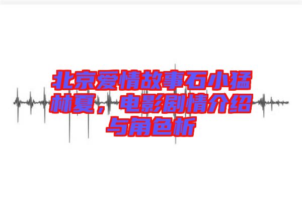 北京愛情故事石小猛林夏，電影劇情介紹與角色析