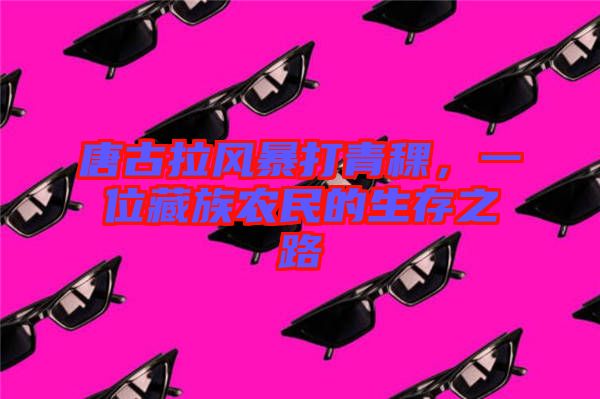 唐古拉風(fēng)暴打青稞，一位藏族農(nóng)民的生存之路