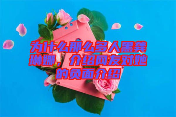 為什么那么多人黑龔琳娜，介紹網友對她的負面介紹