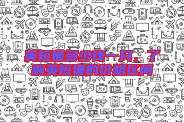 英短貓多少錢一只，了解英短貓的價(jià)格區(qū)間
