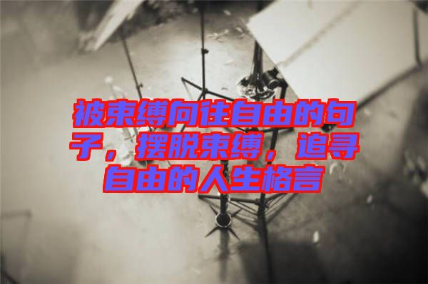 被束縛向往自由的句子，擺脫束縛，追尋自由的人生格言
