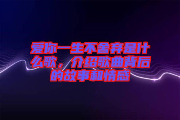 愛你一生不舍棄是什么歌，介紹歌曲背后的故事和情感