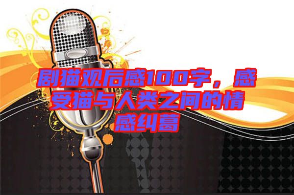 劇貓觀后感100字，感受貓與人類(lèi)之間的情感糾葛