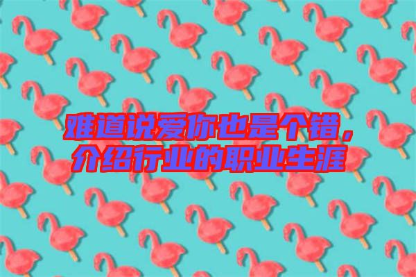 難道說愛你也是個錯，介紹行業(yè)的職業(yè)生涯