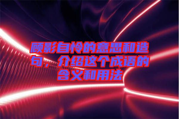 顧影自憐的意思和造句，介紹這個成語的含義和用法