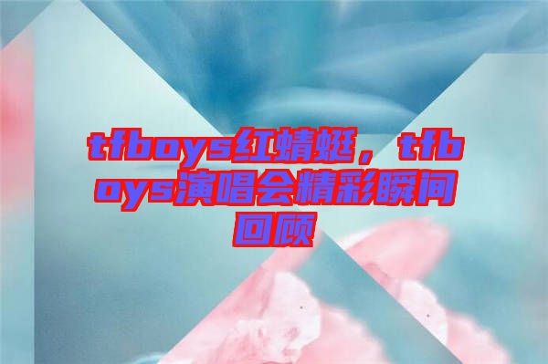tfboys紅蜻蜓，tfboys演唱會(huì)精彩瞬間回顧