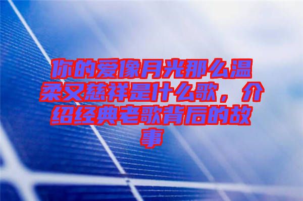 你的愛像月光那么溫柔又慈祥是什么歌，介紹經(jīng)典老歌背后的故事