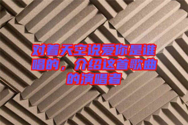 對著天空說愛你是誰唱的，介紹這首歌曲的演唱者