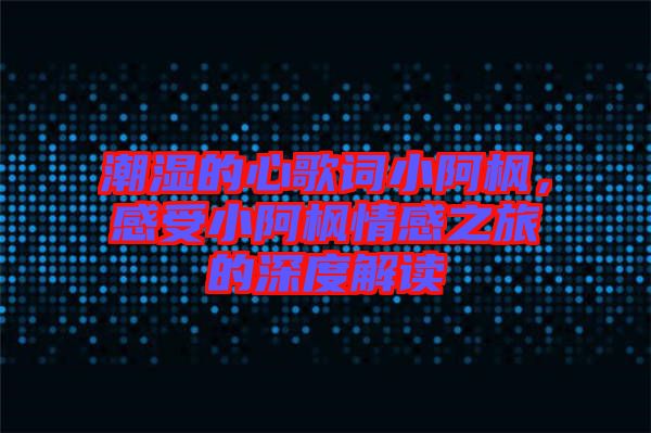 潮濕的心歌詞小阿楓，感受小阿楓情感之旅的深度解讀