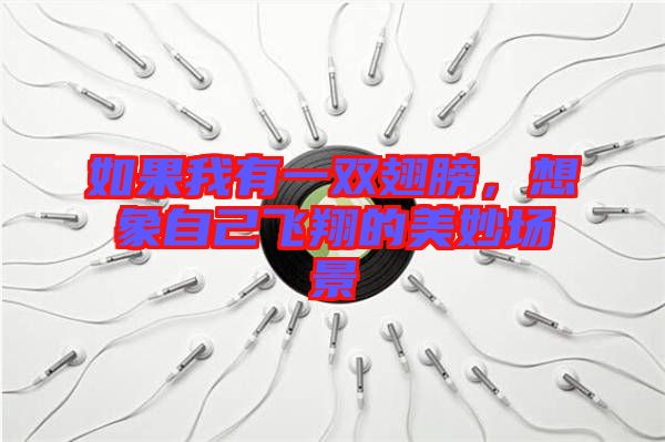 如果我有一雙翅膀，想象自己飛翔的美妙場景