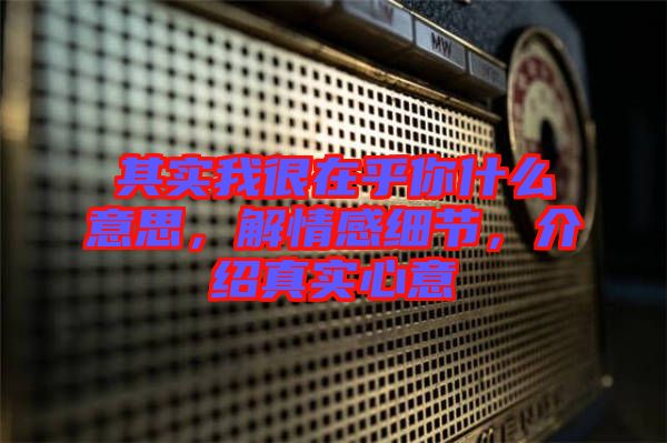 其實我很在乎你什么意思，解情感細節(jié)，介紹真實心意