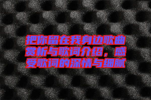 把你留在我身邊歌曲賞析與歌詞介紹，感受歌詞的深情與細膩
