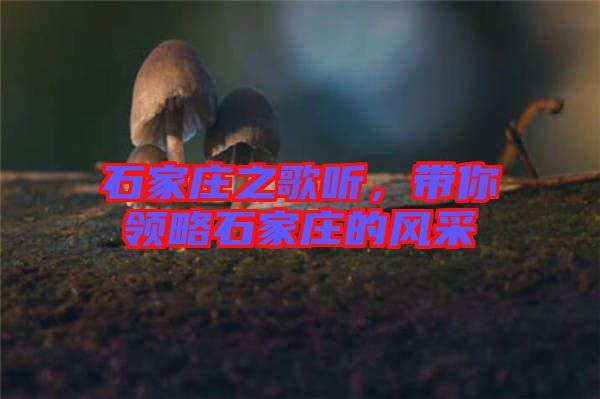石家莊之歌聽(tīng)，帶你領(lǐng)略石家莊的風(fēng)采