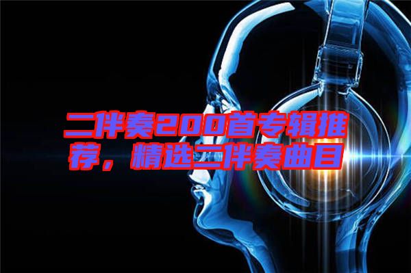 二伴奏200首專輯推薦，精選二伴奏曲目