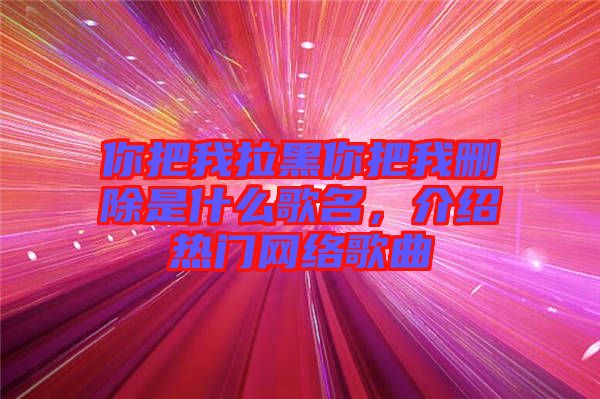你把我拉黑你把我刪除是什么歌名，介紹熱門(mén)網(wǎng)絡(luò)歌曲