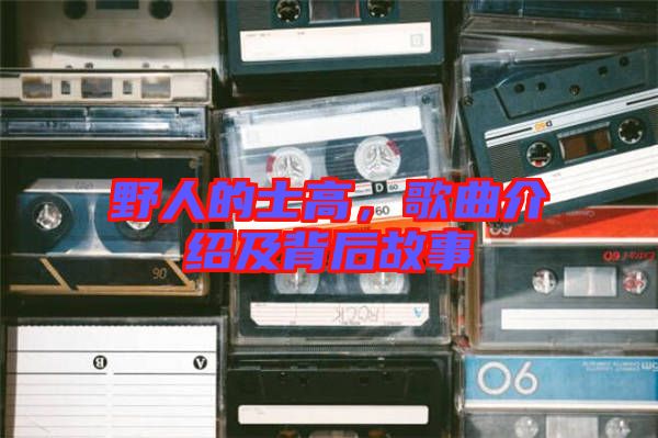 野人的士高，歌曲介紹及背后故事