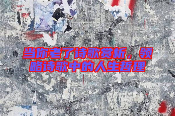 當(dāng)你老了詩歌賞析，領(lǐng)略詩歌中的人生哲理