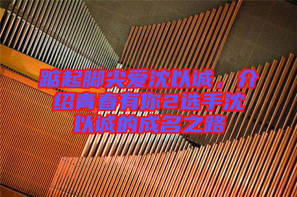 踮起腳尖愛沈以誠(chéng)，介紹青春有你2選手沈以誠(chéng)的成名之路