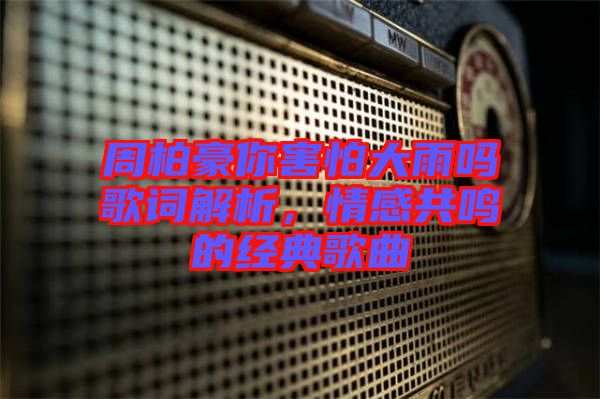 周柏豪你害怕大雨嗎歌詞解析，情感共鳴的經(jīng)典歌曲
