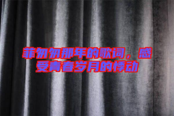 菲匆匆那年的歌詞，感受青春歲月的悸動