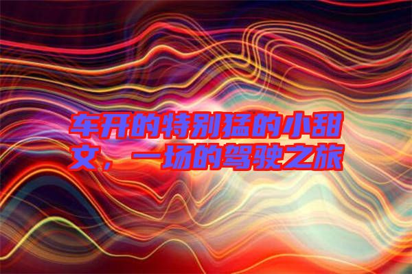 車開的特別猛的小甜文，一場(chǎng)的駕駛之旅