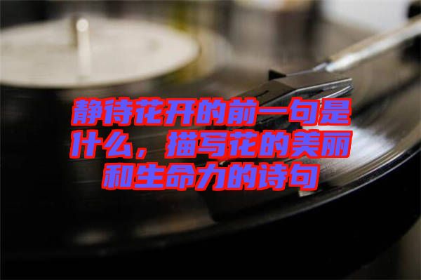 靜待花開的前一句是什么，描寫花的美麗和生命力的詩(shī)句