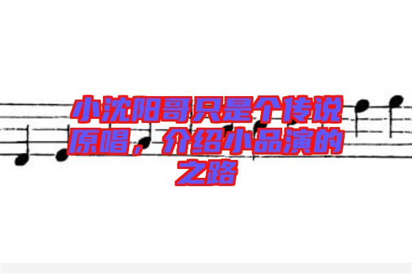 小沈陽哥只是個傳說原唱，介紹小品演的之路