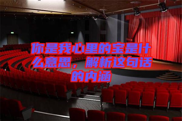 你是我心里的寶是什么意思，解析這句話的內(nèi)涵