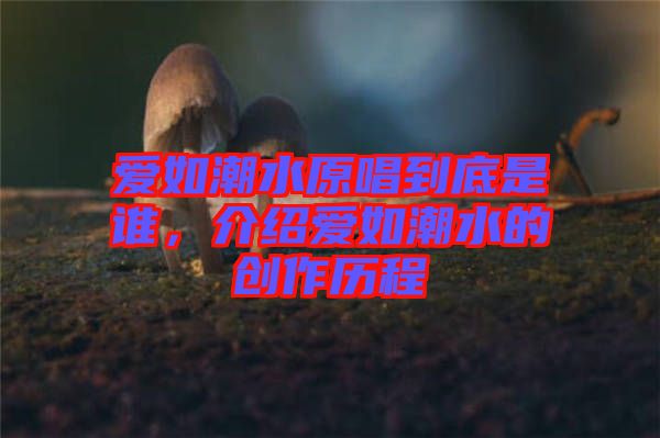 愛如潮水原唱到底是誰，介紹愛如潮水的創(chuàng)作歷程