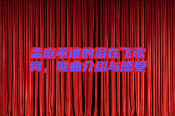 孟庭葦誰的淚在飛歌詞，歌曲介紹與感受