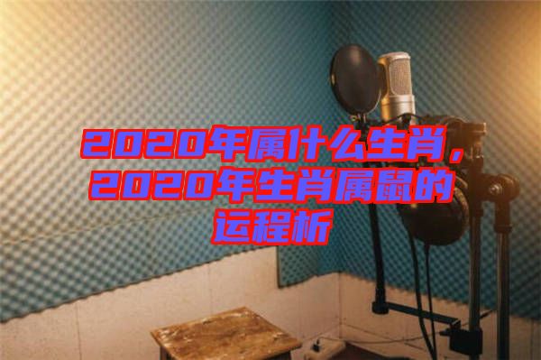 2020年屬什么生肖，2020年生肖屬鼠的運(yùn)程析