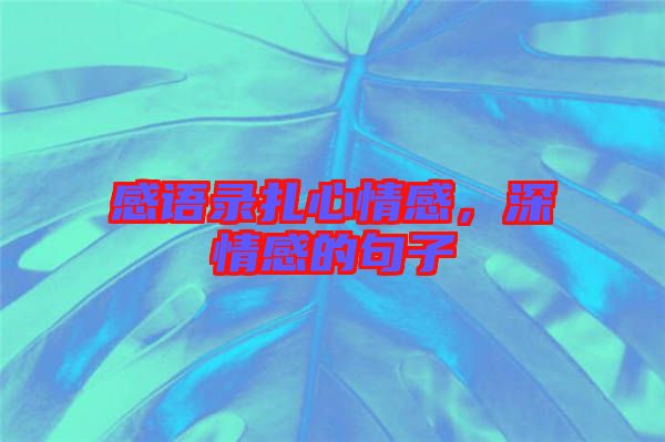 感語(yǔ)錄扎心情感，深情感的句子