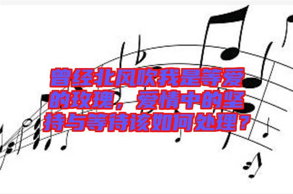 曾經(jīng)北風(fēng)吹我是等愛(ài)的玫瑰，愛(ài)情中的堅(jiān)持與等待該如何處理？