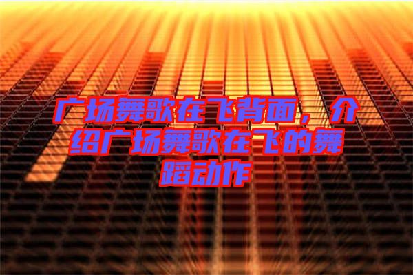 廣場舞歌在飛背面，介紹廣場舞歌在飛的舞蹈動作